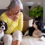 The Greenies Lawsuit That Changed How America Feeds Their Dogs